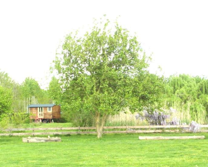Casetta Sul Lago Albairate ภายนอก รูปภาพ